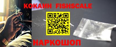 крисы Абакан