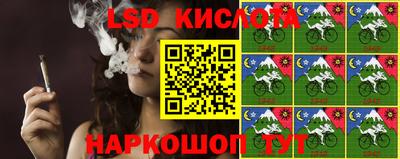 крисы Абакан