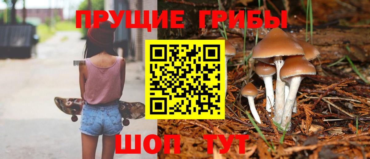 Галлюциногенные грибы Psilocybine cubensis Анапа